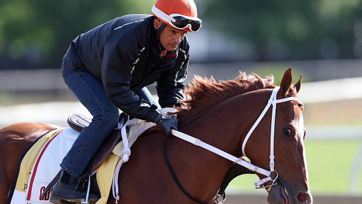 Marlins Man's latest appearance is at the Preakness Stakes 